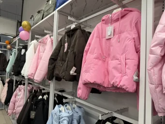 Огненная лиса 1